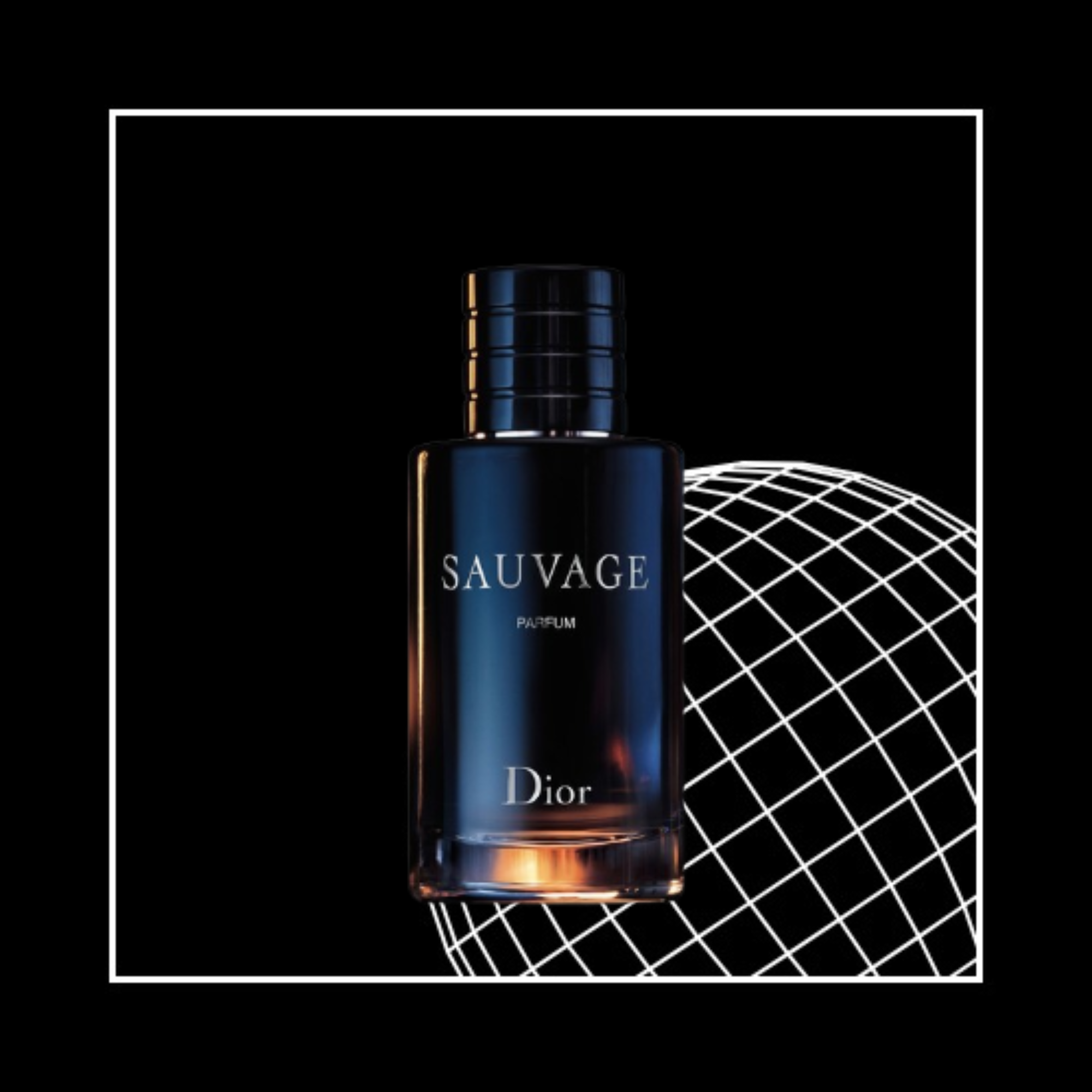PROVEEDOR ║ PERFUMES